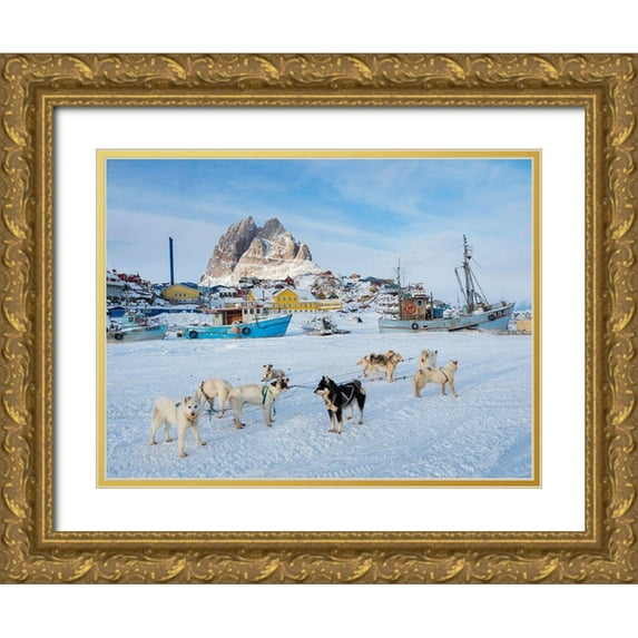 Zwick, Martin 14x12 Gold Ornate Wood Framed with Double Matting Museum Art Print Titled - Team of sled dog during winter in Uummannaq in Greenland