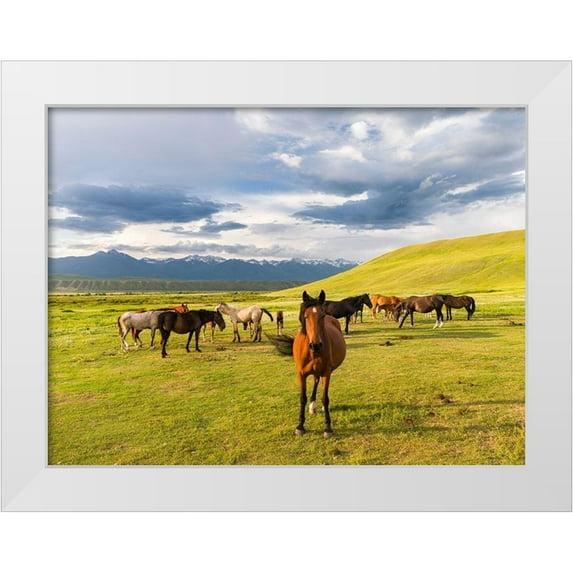 Zwick, Martin 14x12 White Modern Wood Framed Museum Art Print Titled - Horses for the production of milk-kumys and meat A typical farm on the Suusamyr plain-a high valley