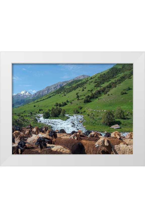 Zwick, Martin 14x12 White Modern Wood Framed Museum Art Print Titled - Sheep drive to their high altitude summer pasture National Park Besch Tasch
