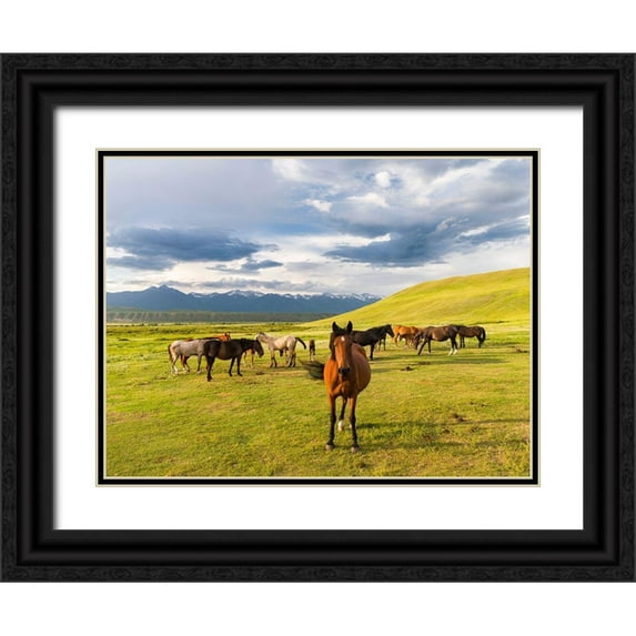 Zwick, Martin 18x15 Black Ornate Wood Framed with Double Matting Museum Art Print Titled - Horses for the production of milk-kumys and meat A typical farm on the Suusamyr plain-a high valley