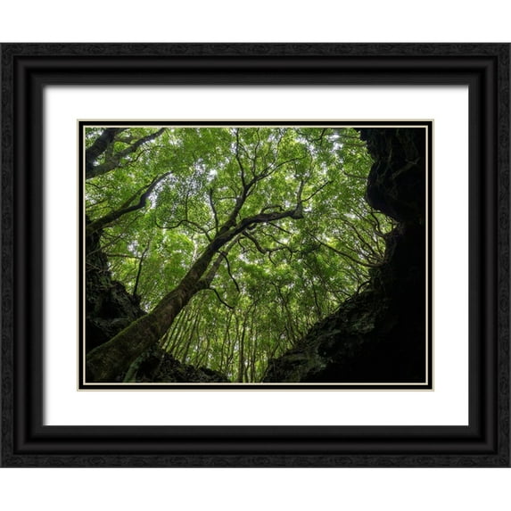 Zwick, Martin 18x15 Black Ornate Wood Framed with Double Matting Museum Art Print Titled - Lava tube Gruta das Torres-collapsed ceiling Pico Island