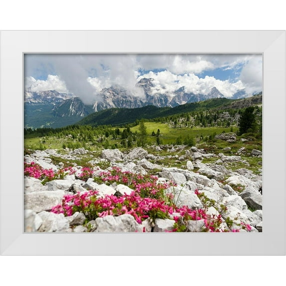 Zwick, Martin 18x15 White Modern Wood Framed Museum Art Print Titled - Croda da Lago in the Dolomites of the Veneto near Cortina dAmpezzo-view towards Sorapis