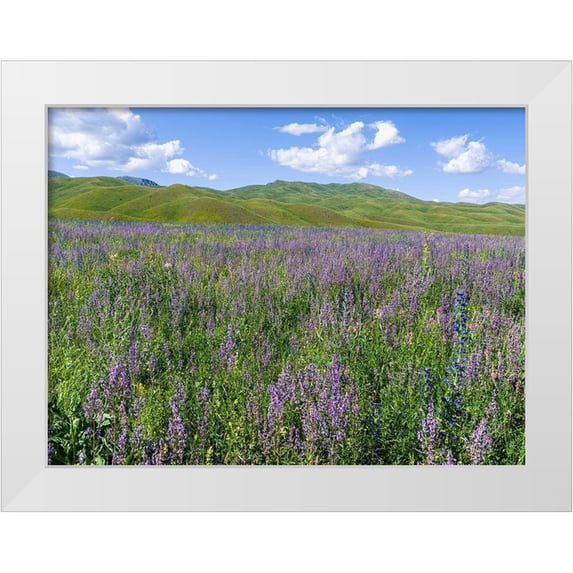 Zwick, Martin 18x15 White Modern Wood Framed Museum Art Print Titled - Wildflower meadow near the mountain road from Kazarman to mountain pass Urum Basch Ashuusu in the