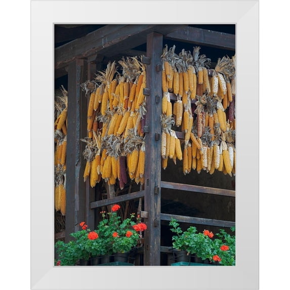 Zwick, Martin 19x24 White Modern Wood Framed Museum Art Print Titled - Molveno at lake Lago di Molveno in the Dolomiti di Brenta Dolomites