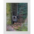 thumbnail image 1 of Zwick, Martin 19x24 White Modern Wood Framed Museum Art Print Titled - Wild boar during winter in high forest Bavarian Forest National Park Germany-Bavaria, 1 of 4