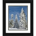 thumbnail image 1 of Zwick, Martin 20x24 Black Ornate Wood Framed with Double Matting Museum Art Print Titled - Snow-covered trees at the peak of Mount Lusen Central Germany-Bavaria, 1 of 4