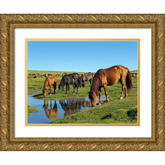 Zwick, Martin 24x19 Gold Ornate Wood Framed with Double Matting Museum Art Print Titled - Horses on their mountain pasture at lake Song Kol