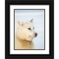thumbnail image 1 of Zwick, Martin 25x32 Black Ornate Wood Framed with Double Matting Museum Art Print Titled - Sled dog during winter in Uummannaq in Greenland Dog teams are still draft animals, 1 of 4