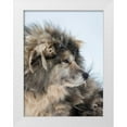 thumbnail image 1 of Zwick, Martin 25x32 White Modern Wood Framed Museum Art Print Titled - Sled dog during winter in Uummannaq in Greenland Dog teams are still draft animals, 1 of 4