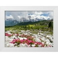 thumbnail image 1 of Zwick, Martin 32x25 White Modern Wood Framed Museum Art Print Titled - Croda da Lago in the Dolomites of the Veneto near Cortina dAmpezzo-view towards Sorapis, 1 of 4