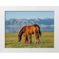 thumbnail image 1 of Zwick, Martin 32x25 White Modern Wood Framed Museum Art Print Titled - Horses on their mountain pasture at lake Song Kol, 1 of 4
