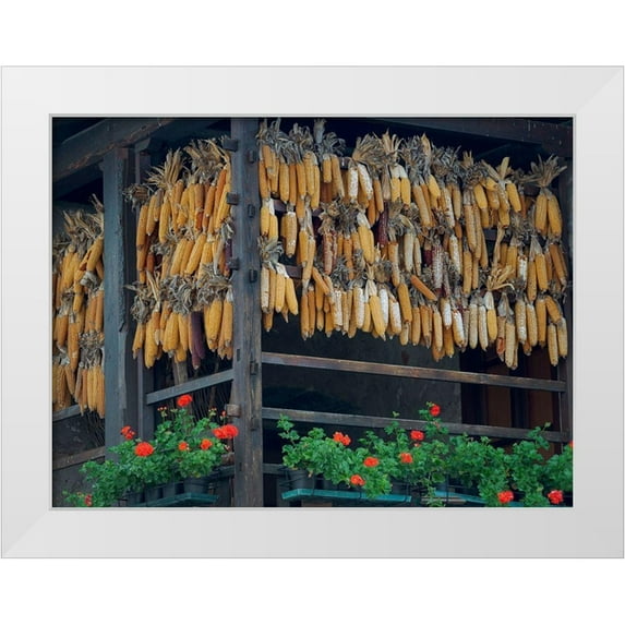 Zwick, Martin 32x25 White Modern Wood Framed Museum Art Print Titled - Molveno at lake Lago di Molveno in the Dolomiti di Brenta Dolomites