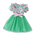 thumbnail image 1 of Zwiiyzr 2-8 Years Toddler Kids Cute Floral Sundress Tulle Tutus Bubble Short Sleeve Baby Girls Dress Green, 1 of 6