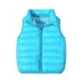 thumbnail image 1 of Zwiiyzr 2-9Y Winter Quilted Vest for Kids Baby Boys Windproof Cotton Padded Jacket Sleeveless Jacket Waistcoats Kids Outerwear Light Blue, 1 of 8