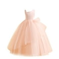 thumbnail image 1 of Zwiiyzr 2025 6-17Y Girls Tulle Dress Bridesmaid Sparkle Wedding Pageant Formal Dress Sleeveless One Shoulder Princess Dress Pink, 1 of 9