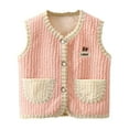 thumbnail image 1 of Zwiiyzr 9M-5T Baby Boys Girls Sleeveless Jacket Button Up Soft Fleece Vest Kids Fall Winter Waistcoat Outerwear with Pockets Pink, 1 of 3