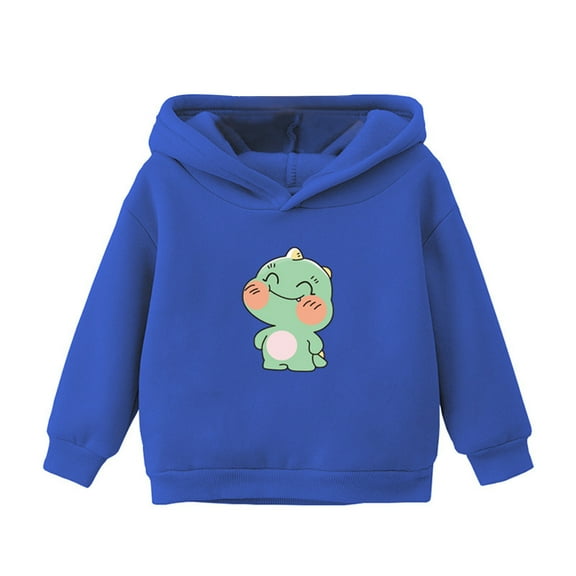 Zwiiyzr Toddler Baby Boys' Girls' Long Sleeve Fleece Lined Hoodies Sweatshirt Baby Clothes 2-7 Years Blue