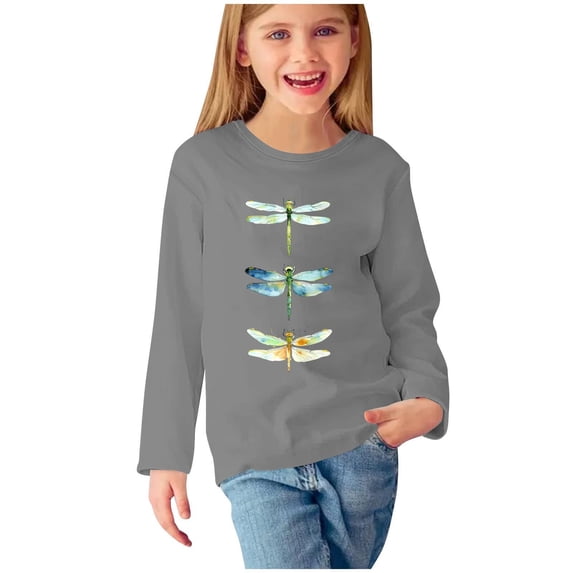 Zwiiyzr Toddler Baby Girl Long Sleeve Sweatshirt Crew Neck Tops Basic Solid Color Sweater Shirts Kid Fall Clothes 3-14 Years Gray