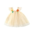 thumbnail image 1 of Zwiiyzr 2024 Toddler Baby Girls Summer Dress Sweety Princess Birthday Party Gown Fly Sleeve Butterfly Tutu Tulle Dress Beige-6 Months, 1 of 4