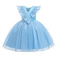 thumbnail image 1 of Zwiiyzr 3-10 Years Girls Princess Princess Sparkle Tulle Dress Flower Girls Sequin Dresses Long A Line Wedding Party Ball Gown Light Blue, 1 of 9