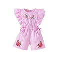 thumbnail image 1 of Zwiiyzr 3M-3T Toddler Girls Romper Flutter Sleeve Stripes Flower Ruffled Short Jumpsuit Playsuit One-Piece Summer Baby Clothes Pink, 1 of 9