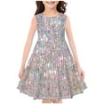 thumbnail image 1 of Zwiiyzr 4-14Y Little Girls Summer Dress Round Neck Sleeveless Swing Sundress Kids Casual Floral A-Line Dress Silver, 1 of 3