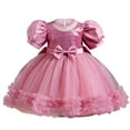 thumbnail image 1 of Zwiiyzr 6M-5T Girls Tulle Dress Summer Puff Short Sleeve Ruffled Lace Round Neck Embroidery Mesh Princess Bow Dress Pink, 1 of 9