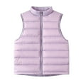 thumbnail image 1 of Zwiiyzr Puffer Vest for Boy Girls Lightweight Stand Collar Winter Jacket Outwear Kids Fall Sleeveless Coats 4-16 Years Purple, 1 of 4