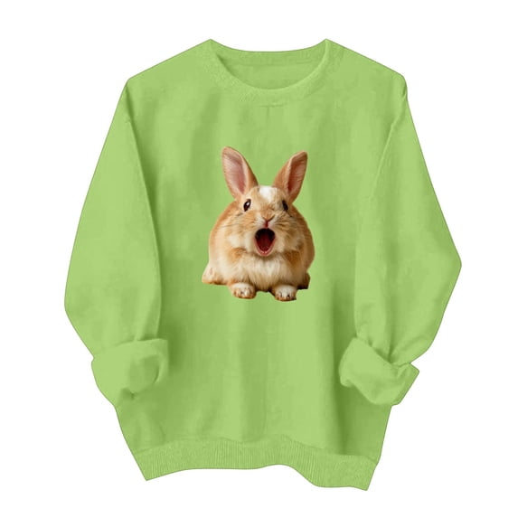 Zxlsdmn Womens Long Sleeve Sweatshirts Comfy Crew Neck Pullover Tops Trendy Graphic Sweatshirt Casual Drop Shoulder Fall Winter Sweat Shirts S