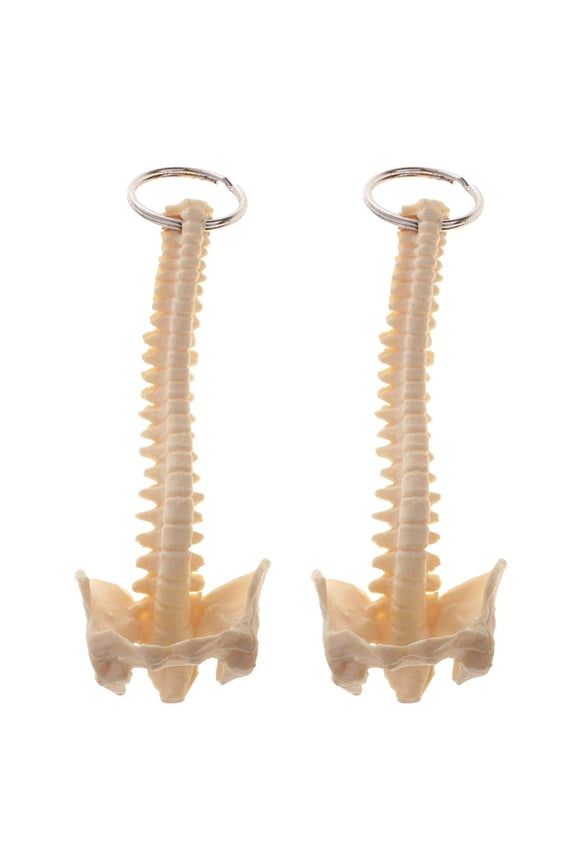 2Pcs Mini Handcrafted Human Spine Skeleton Model Keychain School Teaching Tool
