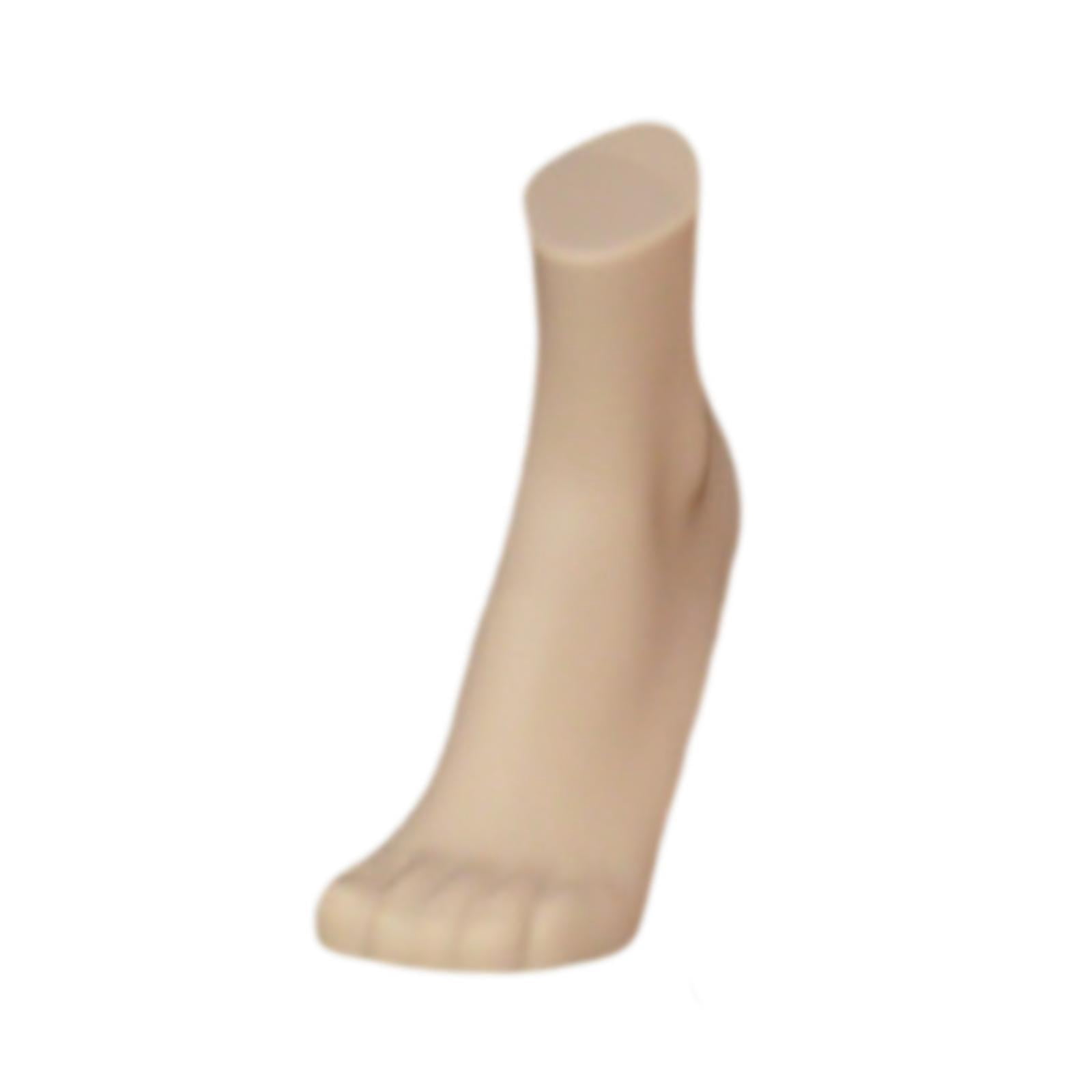 Toecutter Mannequin Zxpjkyu Male Mannequin Foot Model with Magnetic Base Photo Prop Sock ...