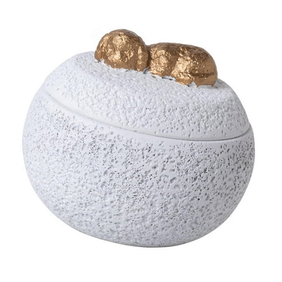 Zxpjkyu Memorial Urn for Dog Memorial Ashes Box Desktop Decor Keepsake Cremation Urn White