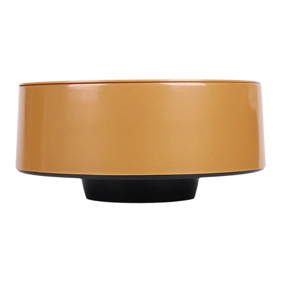 Zxpjkyu Sushi Serving Bowl Fondue Plate Soy Sauce Dish Round for Side Dishes Mini Salmon gold
