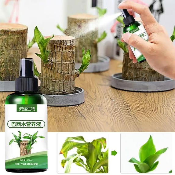 Zxsyw Hydroponic Brazilian Wood Nutrient Solution 150ml - Special Nutrient Solution for Flowering Plants, No Dilution Required, Liquid Plant Fertilizer for Hydroponics