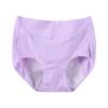 ZyeKqe Plus Size Underwear Foe Women Full Coverage High Waisted Stretch Layered Solid Color Panties