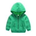 thumbnail image 1 of ZyeKqe Toddler Baby Boys Girls Sweatshirts Jackets Zip up Long Sleeve Shirts Solid Color Hooded Sweatshirt Fall Winter Clothes, 1 of 2