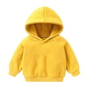 ZYEKQE Toddler Baby Clothes Boys Girls Fleece Lined Hoodies Sweatshirts Infant Long Sleeve Pullover Top Newborn Winter Warm Tops