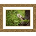 thumbnail image 1 of Zygmunt, Milan 14x11 Gold Ornate Wood Framed with Double Matting Museum Art Print Titled - Ural Owl, 1 of 4