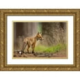 thumbnail image 1 of Zygmunt, Milan 24x17 Gold Ornate Wood Framed with Double Matting Museum Art Print Titled - Red Fox, 1 of 4
