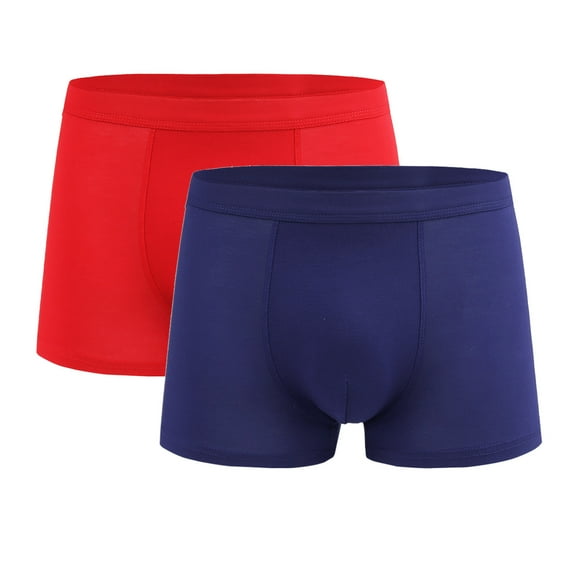 Zylanna Men's Boxer Briefs, 2-Pack Soft Stretch Moisture-Wicking Underwear for Men Oversized Multicolor Size L