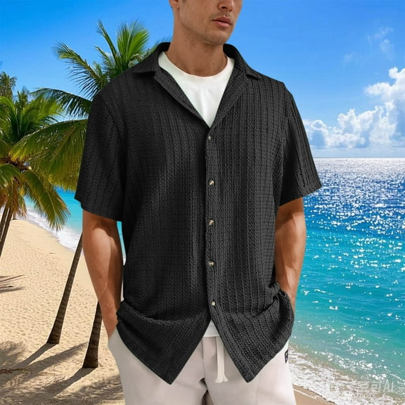 Zylanna Men's Casual Button Down Shirts, Turndown Collar Loose and Comfort Breathable Short Sleeve Summer Shirts for Men Black Size 2XL