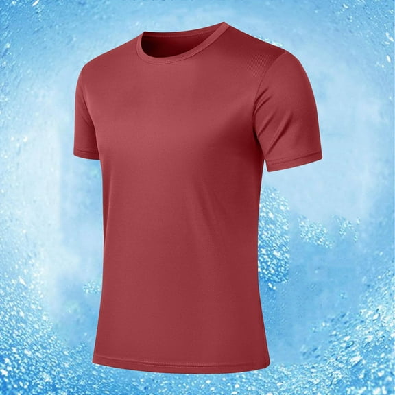 Zylanna Men's Casual Shirts Tee, Crew Neck Short Sleeve Solid Color Stretch Fit Gym Workout Breathable Summer Tops for Man Khaki Size 2XL