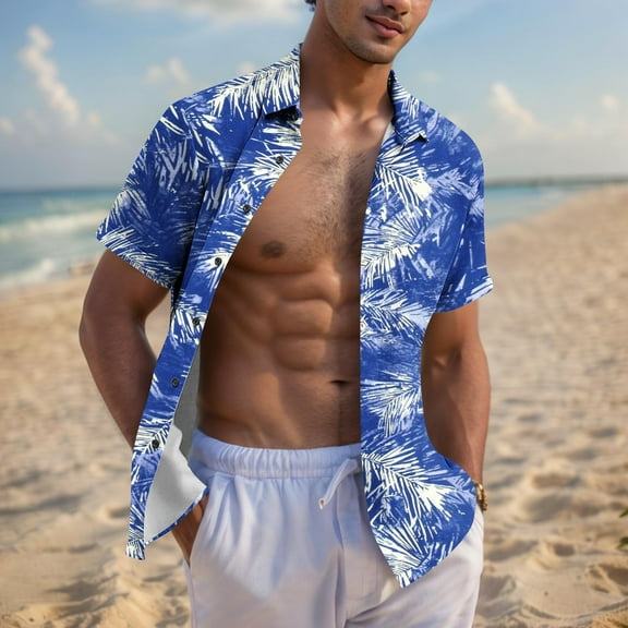 Zylanna Men's Hawaiian Shirts, Quickly Dry Casual Turndown Collar Short Sleeve Summer Beach Button Down Shirts Blue Size S