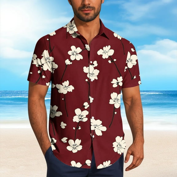 Zylanna Men's Hawaiian Shirts, Quickly Dry Casual Turndown Collar Short Sleeve Summer Beach Button Down Shirts Wine Size S