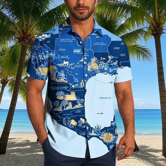 Zylanna Men's Hawaiian Shirts, Turndown Collar Quickly Dry Casual Short Sleeve Summer Beach Button Down Shirts Blue Size L