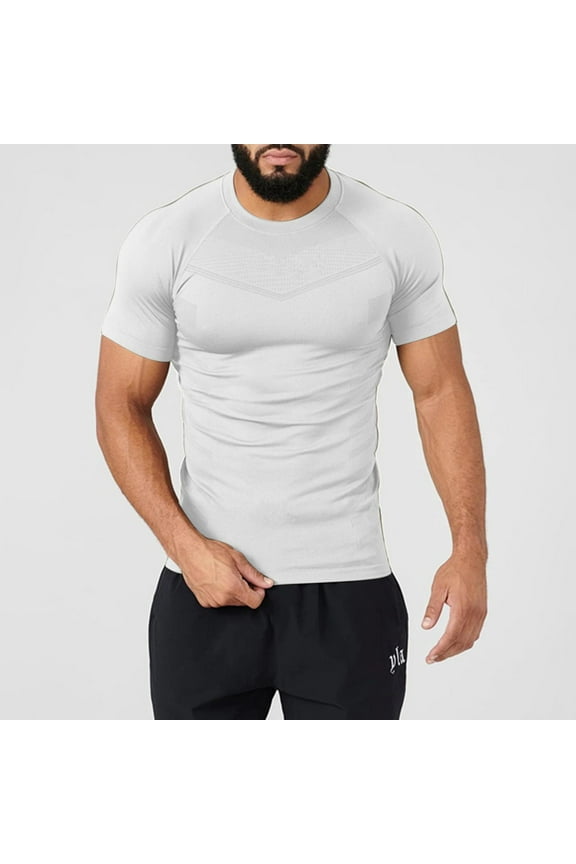 Men's T-Shirts Tee, Crew Neck Solid Color Short Sleeve Summer Casual Tops for Mens Silver