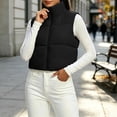 thumbnail image 1 of Zylanna Women's Cropped Puffer Vest, Full Zip Lightweight Sleeveless Stand Collar Quilted Warm Outerwear Layering Gilet Black, 1 of 7