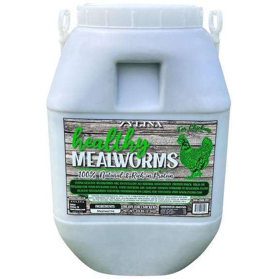Zylina 20lb Bucket Healthy Mealworms for Chickens
