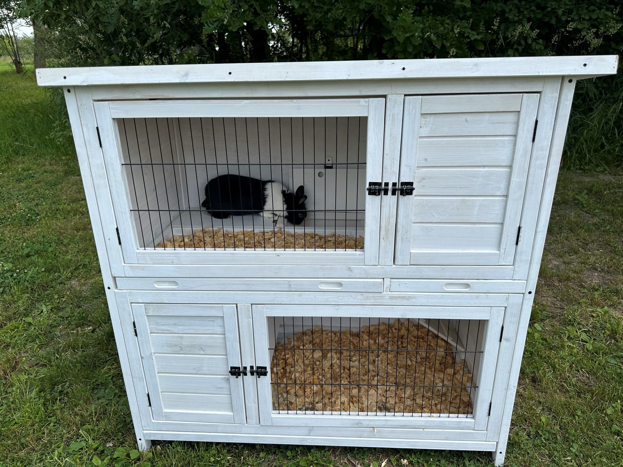 Zylina Modern 2 Story Rabbit High Rise
