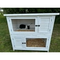 thumbnail image 1 of Zylina Modern 2 Story Rabbit High Rise, 1 of 11